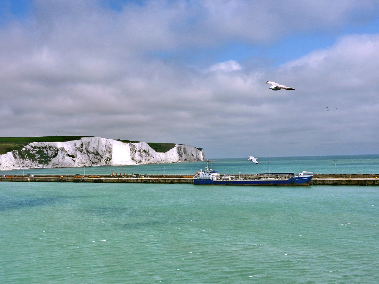 Dover